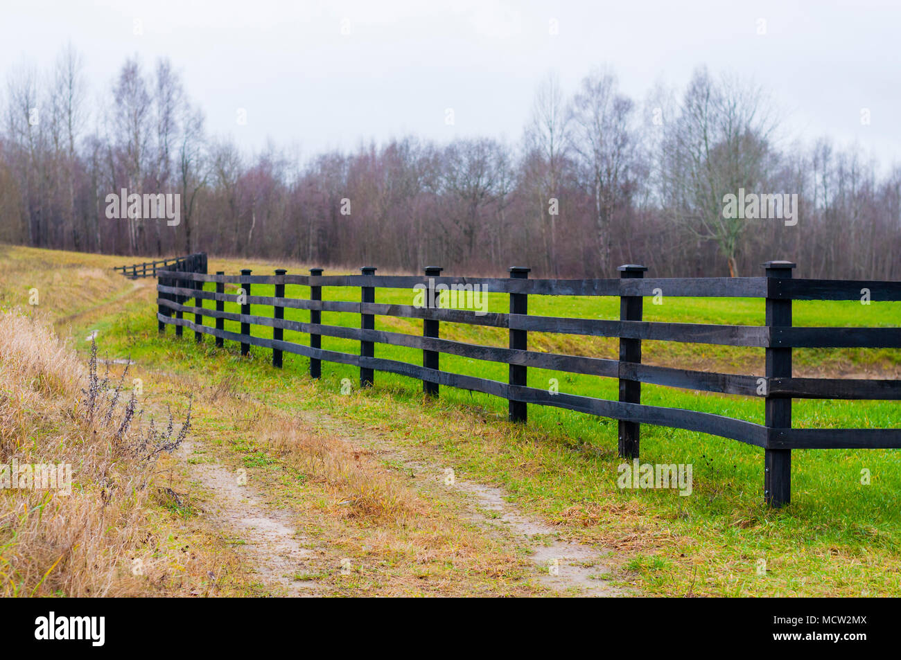 Tiempo de caída en el país. Aquí puede ver la valla de madera límite que  rodea aún campo de hierba verde y camino rural al lado de la valla  Fotografía de stock -