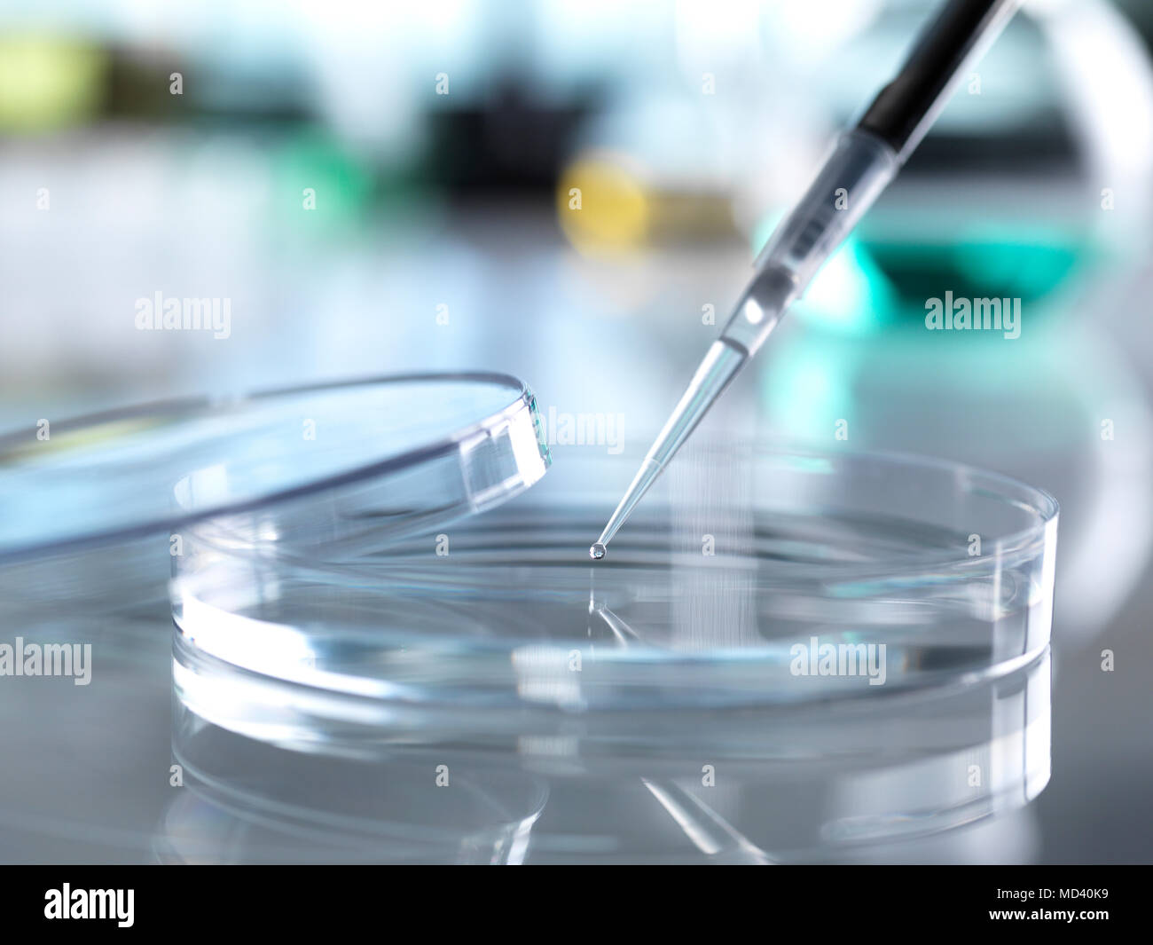 Pipeteo científico muestra en placa de Petri en el laboratorio Foto de stock
