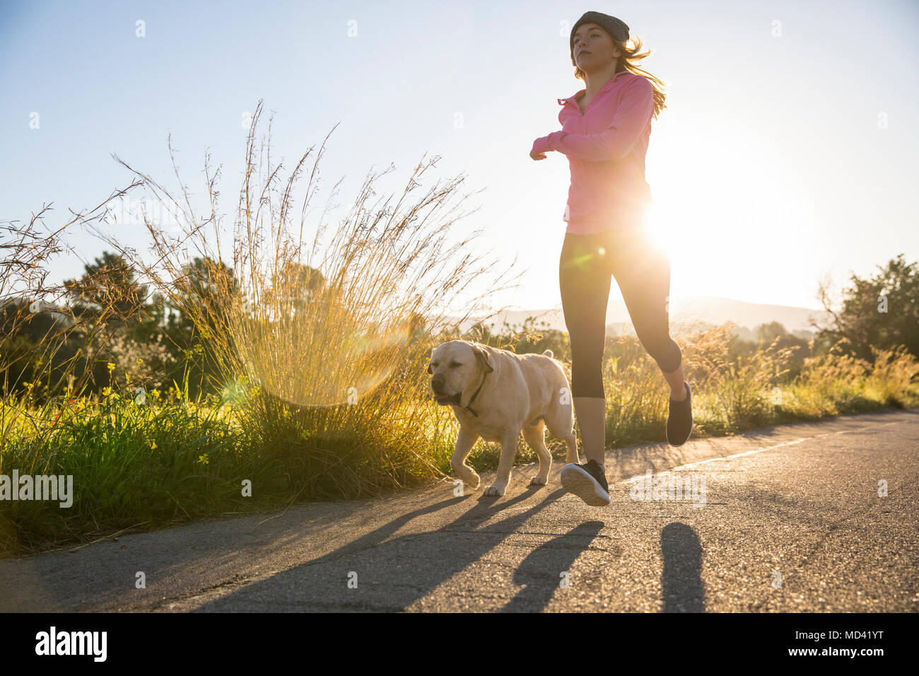 Mujer joven que corre a lo largo de los caminos rurales con perro mascota, bajo ángulo de visión Foto de stock