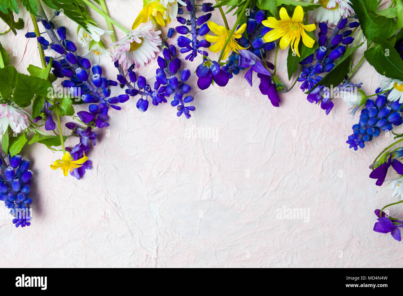 Coloridas flores de primavera con copia de vista superior del espacio Foto de stock
