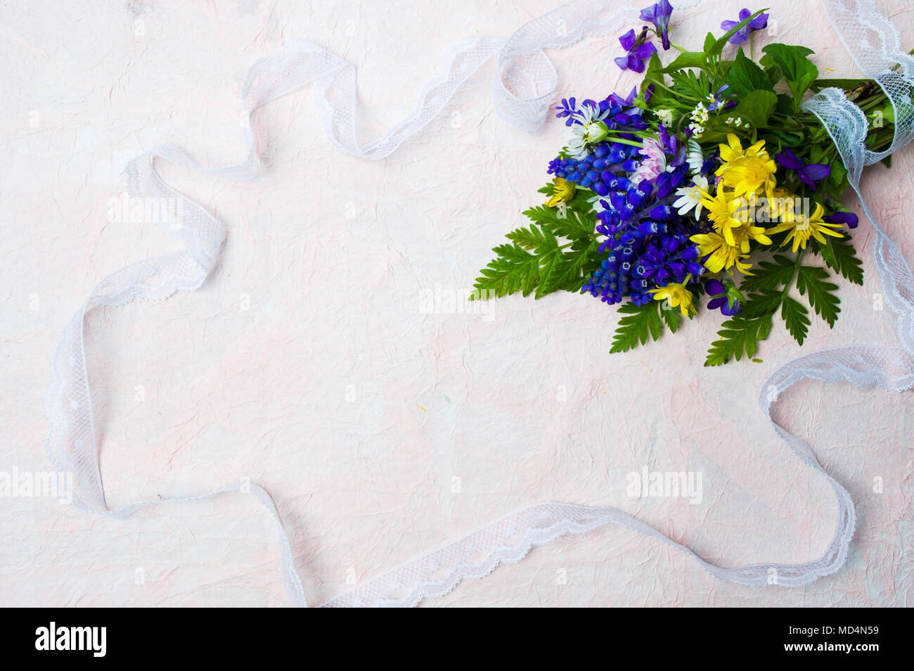 Coloridas flores de primavera con copia de vista superior del espacio Foto de stock