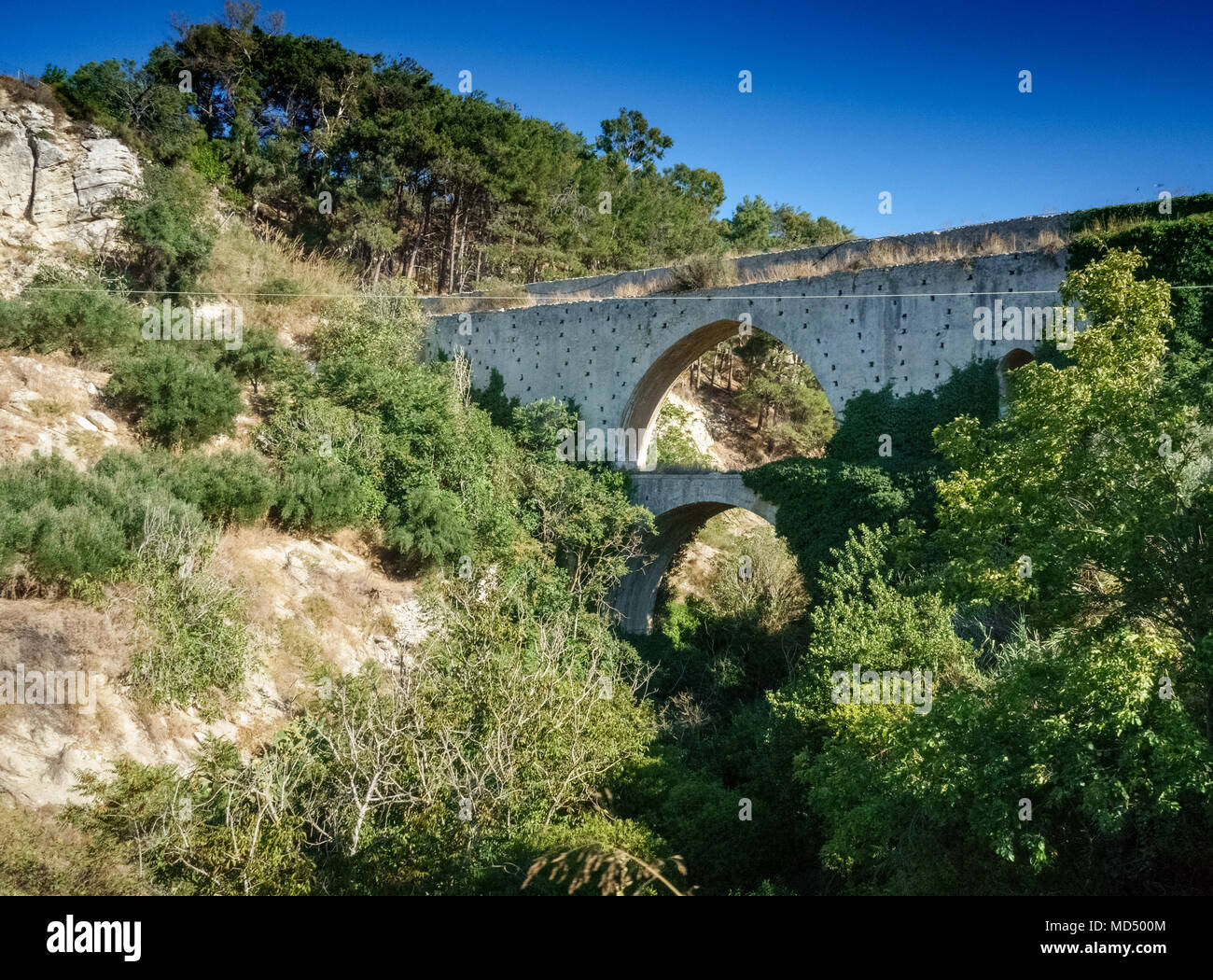 Puente Viejo y plantas en Creta, Grecia Foto de stock