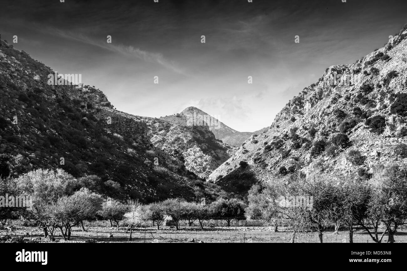 Vista panorámica de las montañas de la zona forestal, Grecia Foto de stock