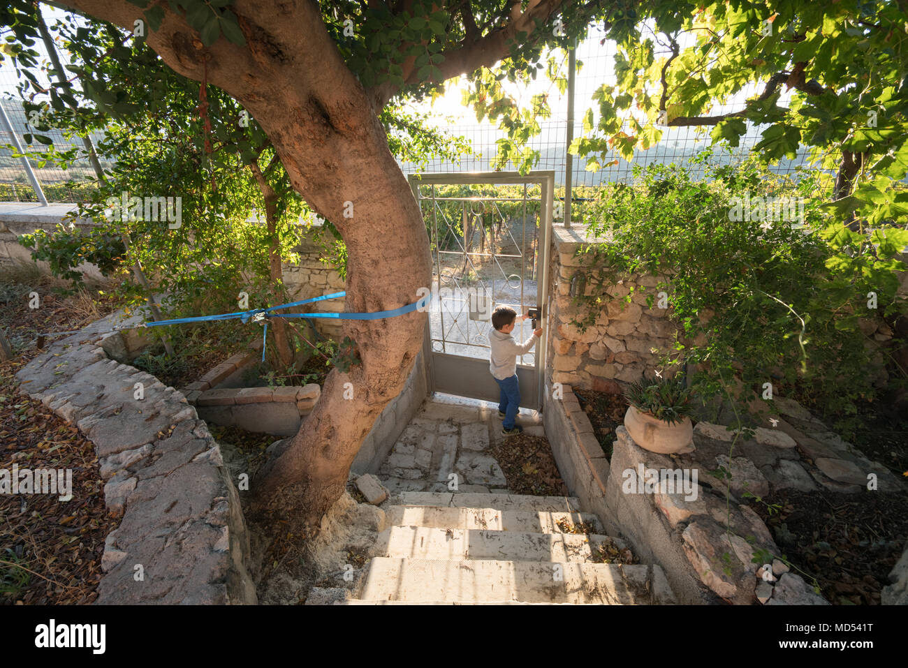 Niñito abriendo la compuerta del patio trasero o delantero, Creta, Grecia Foto de stock
