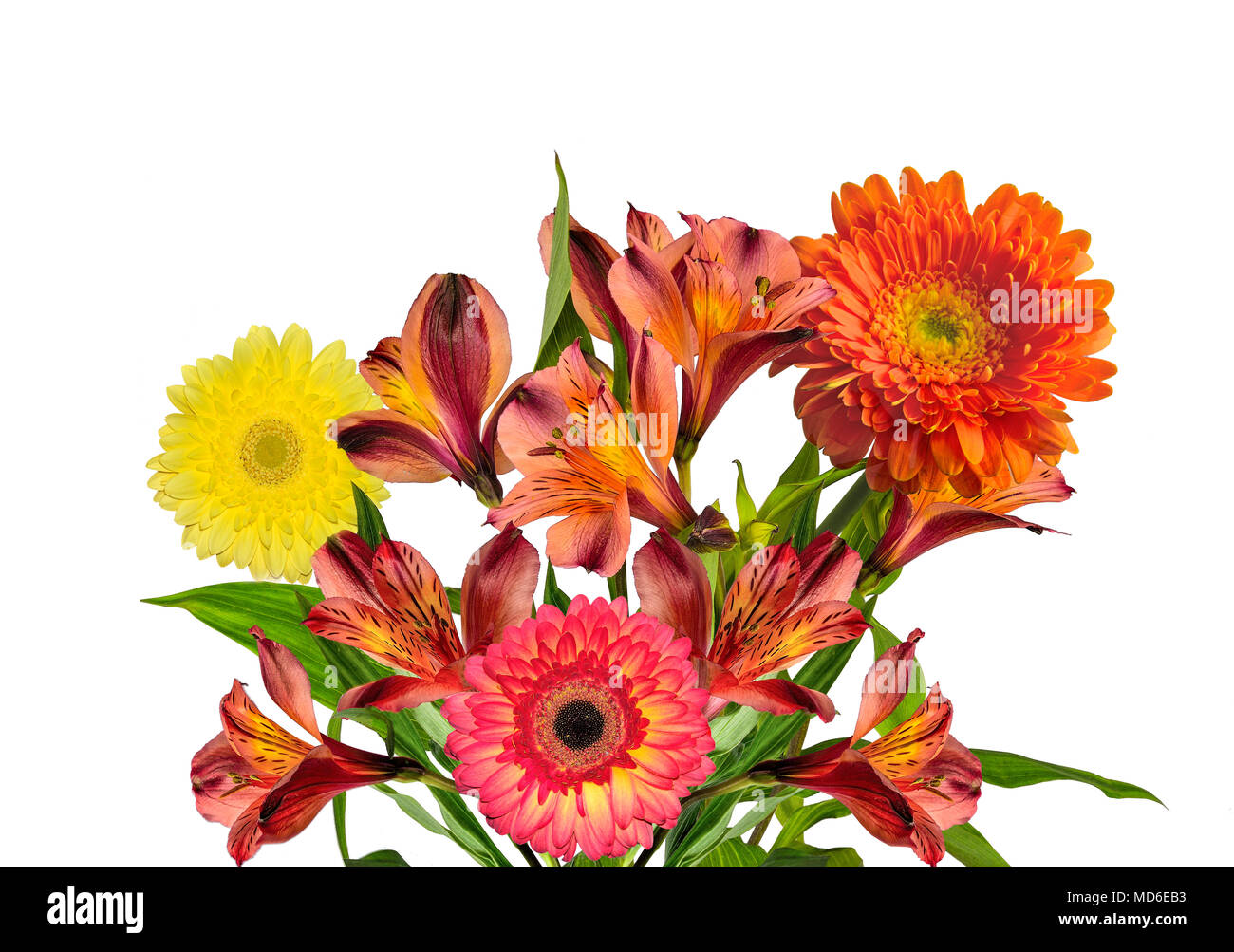 Bouquet de hermosas flores de Alstroemeria de color amarillo naranja y gerberas aislado sobre fondo blanco - delicado detalle de primavera o verano festiva floral Foto de stock