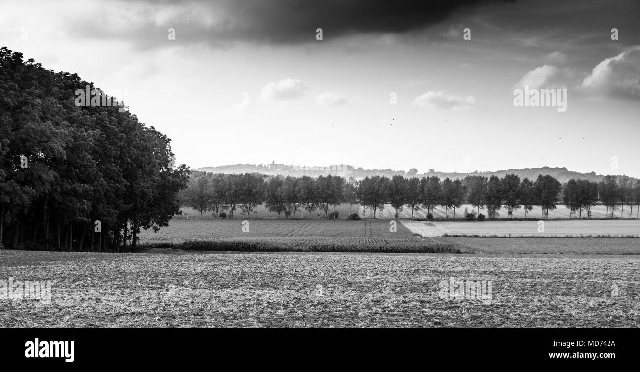 Paisaje rural y árboles en Tournai, Bélgica Foto de stock