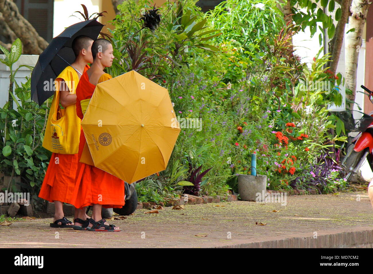 Los monjes budistas junto a Thanon Sisavangvong calle en Luang Prabang, Laos. Mayo de 2016. Foto de stock