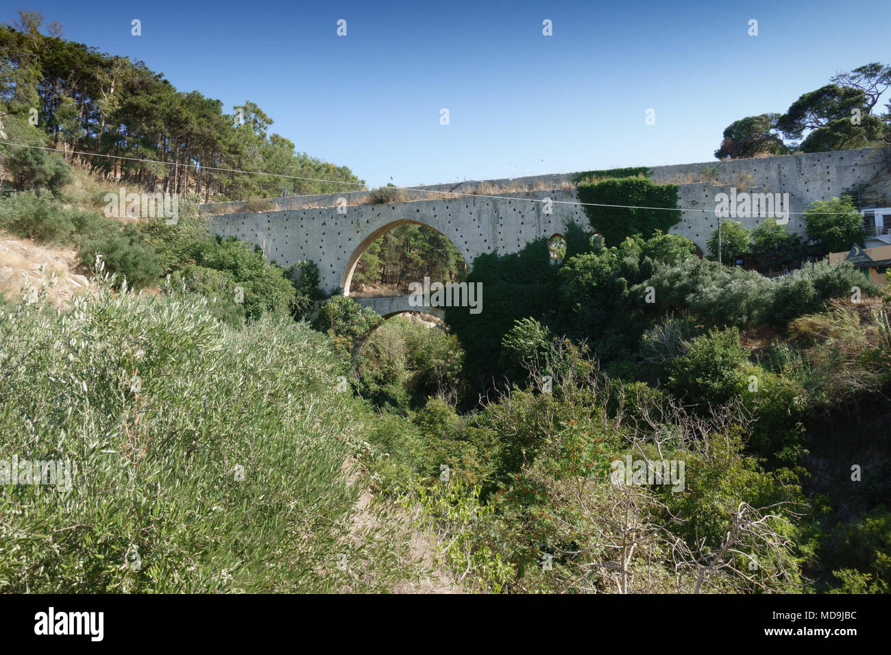 Puente Viejo y plantas en Creta, Grecia Foto de stock