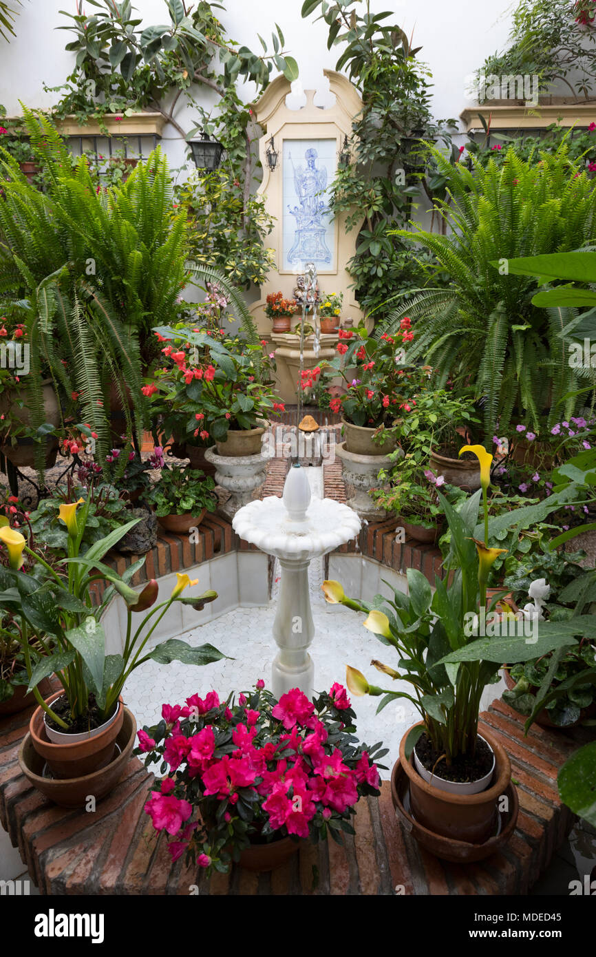 Plants for patios fotografías e imágenes de alta resolución Alamy