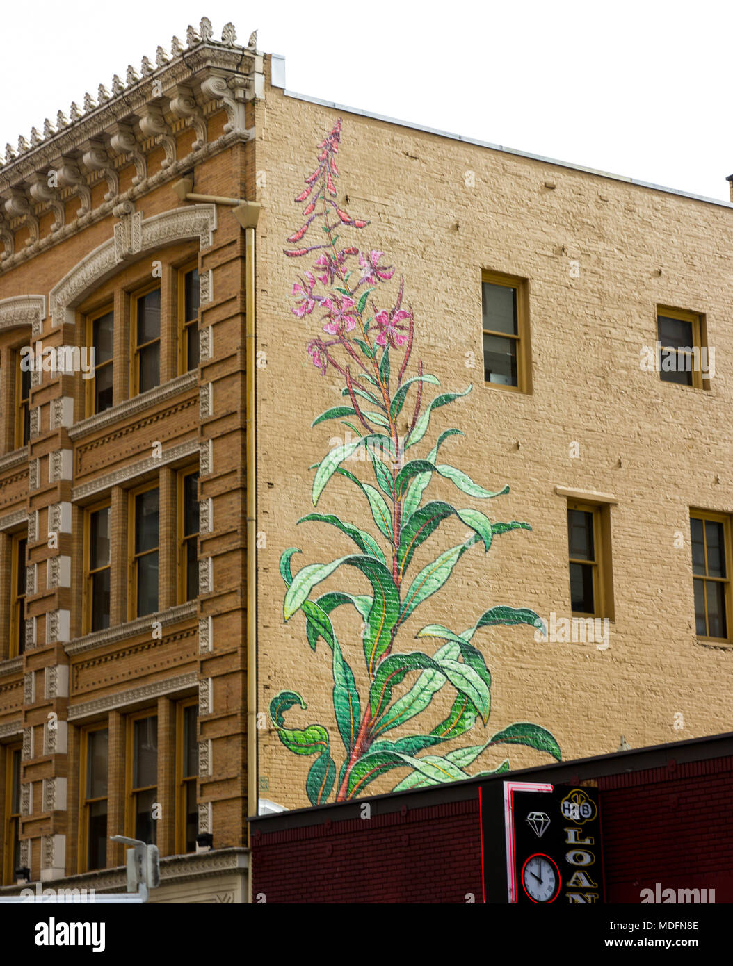 Hermoso mural floral en el lateral de un ladrillo buildng en el centro de Portland, Oregon (PDX) en el Noroeste del Pacífico Foto de stock