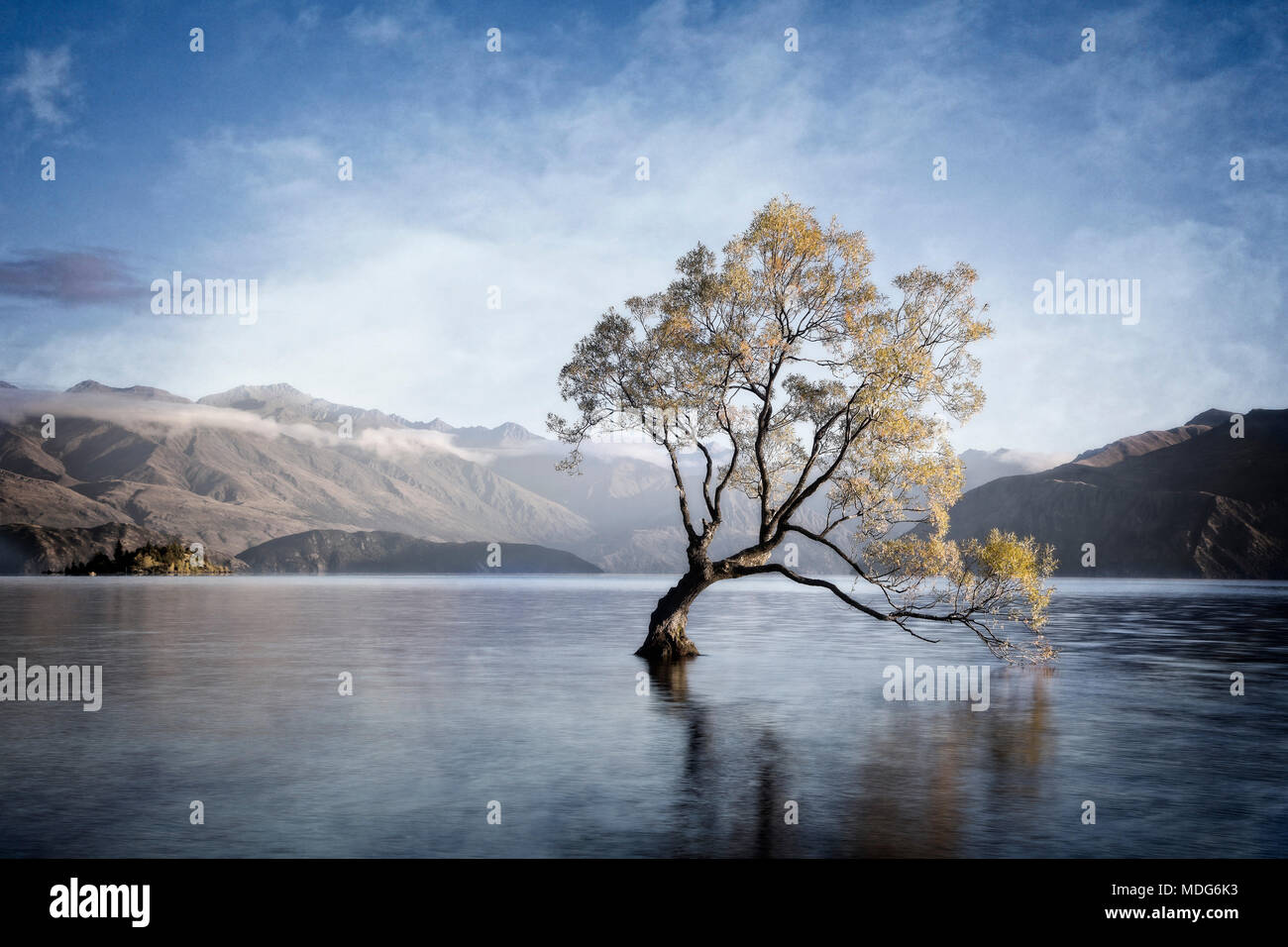 La Lone Tree del Lago Wanaka, Isla del Sur, Nueva Zelanda. Foto de stock