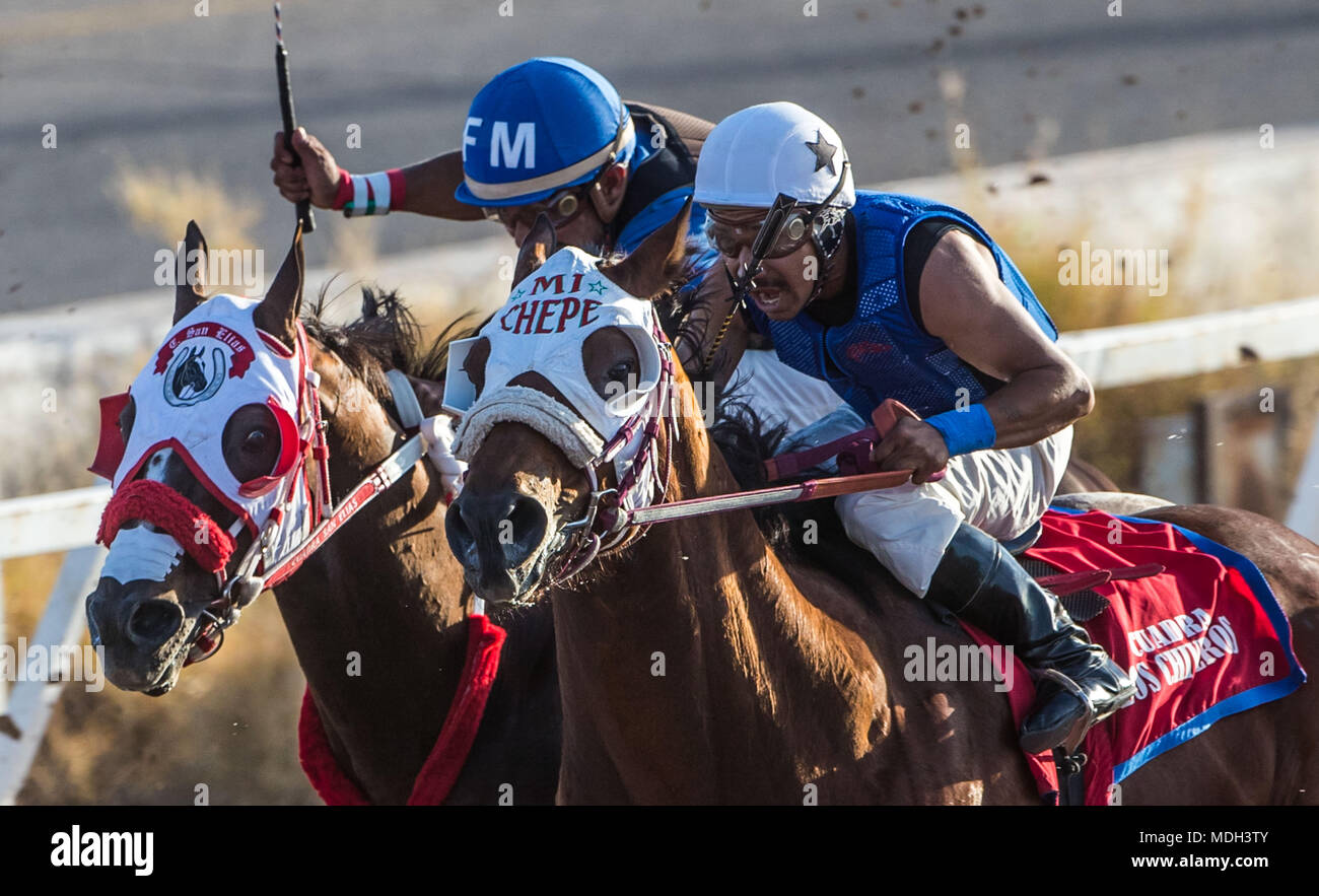 Las carreras de caballos al atardecer en el Hipodromo de Hermosillo, Sonora, México. Chicos mexicanos intentando ganar la carrera.carreras de caballos, carreras de caballos. Apuestas en el hipódromo. Foto de stock