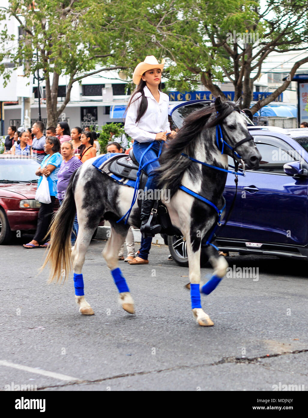 joven mujer cabalga su caballo por las calles Panamá, en la anual Cabalgata de David, el festival ecuestre de David Fotografía de stock - Alamy