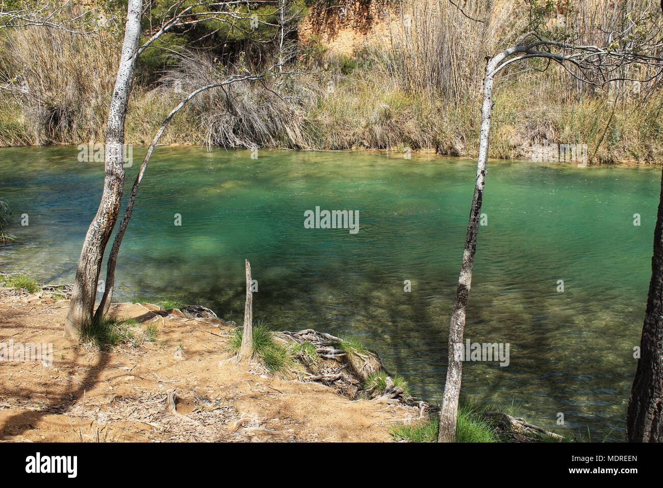 Foto de Río Cabriel en Motilleja, Albacete