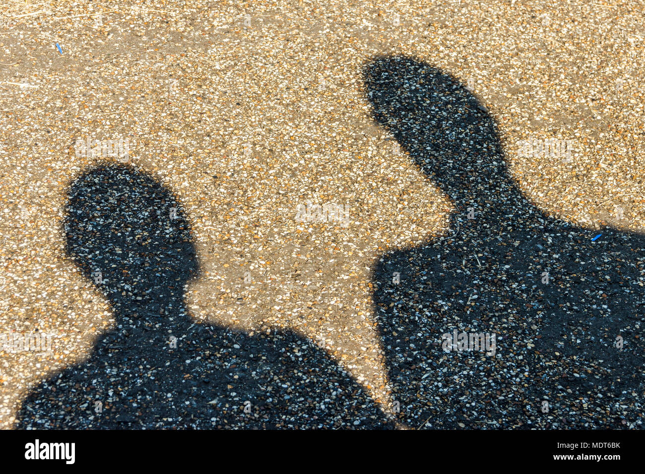 Cabeza y hombros las sombras de dos personas (posiblemente para adulto y niño) emitidos al lado de un camino de gravilla amarillo Foto de stock