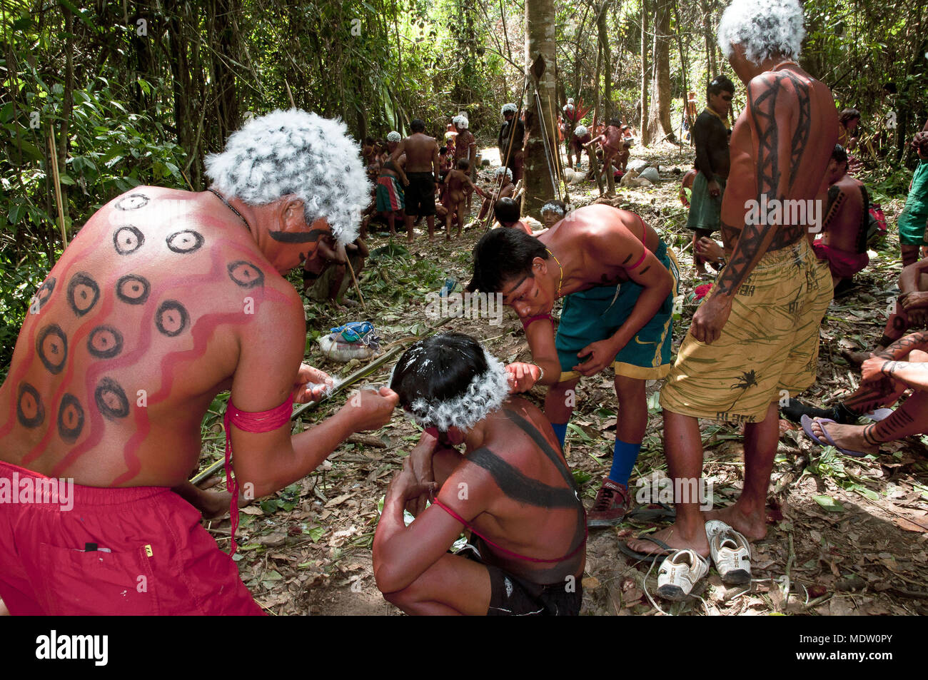 Los preparativos para la reunión de todos los grupos étnicos en la comunidad yanomami Hutukara Toototobi - Foto de stock