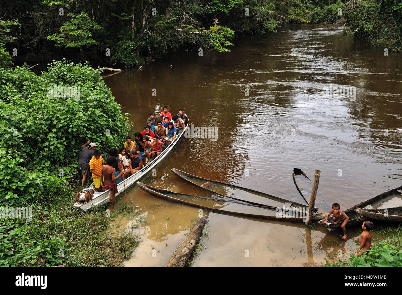 Los indios Yanomami en el río Auaris voadeira en la aldea de Kolulu Foto de stock