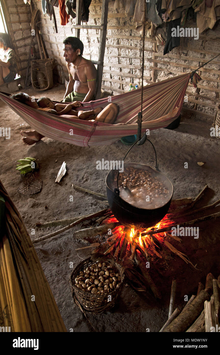 La olla cocción cunuri castaño hueco interior paredes de entramado familiar Yanomami Foto de stock