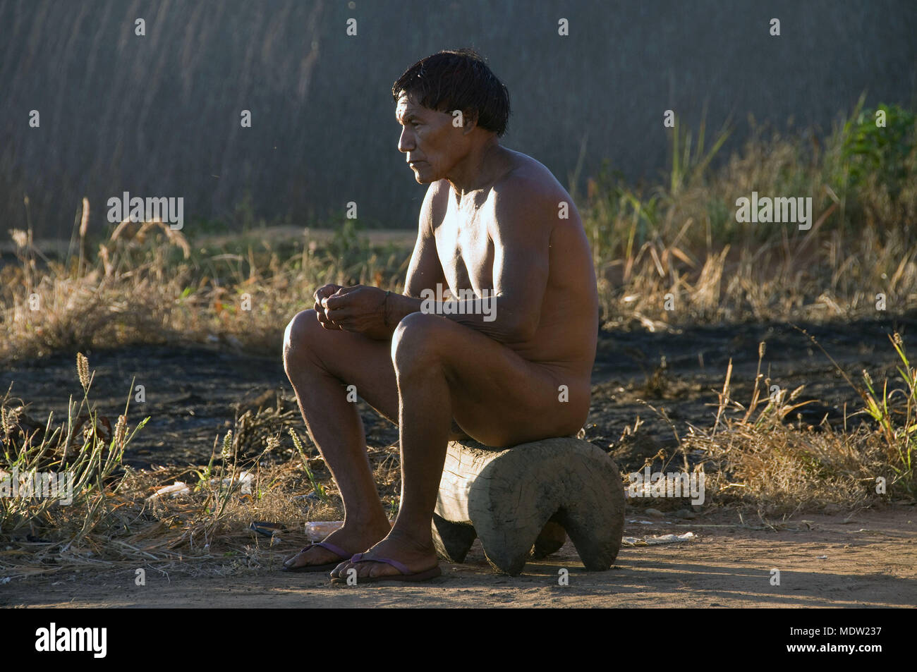 Indios Kalapalo Dyauá - Village Aiha - del Parque Indígena Xingu - MT Foto de stock