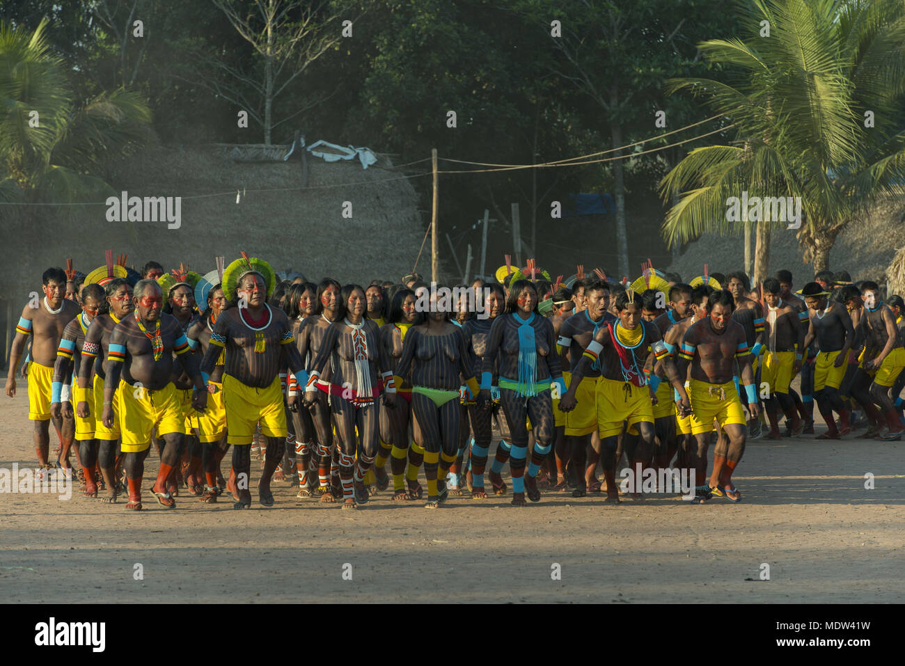 Indio Amazonico Fotos e Imágenes de stock Alamy