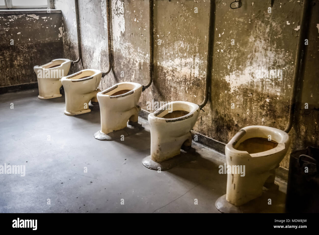 Concentration camp toilet fotografías e imágenes de alta resolución - Alamy
