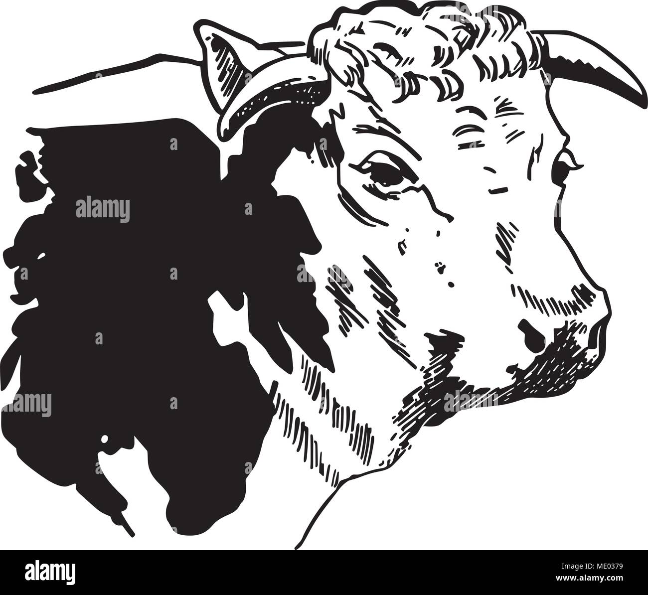 Clipart Cow Fotograf as E Im genes De Alta Resoluci n Alamy