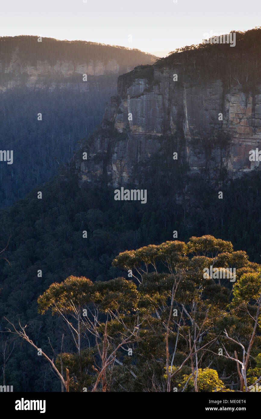 Las formaciones rocosas de la meseta elevada en el Parque Nacional Blue Mountains, en Nueva Gales del Sur, Australia Foto de stock