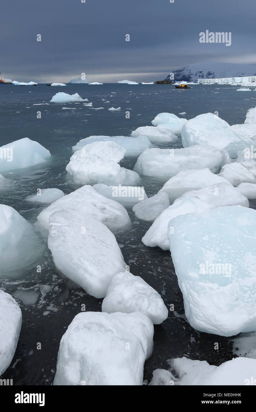 Los icebergs con grandes trozos de hielo arrastrados hasta una playa volcánica en Brown Bluff, en la Península Antártica, en la Antártida Foto de stock