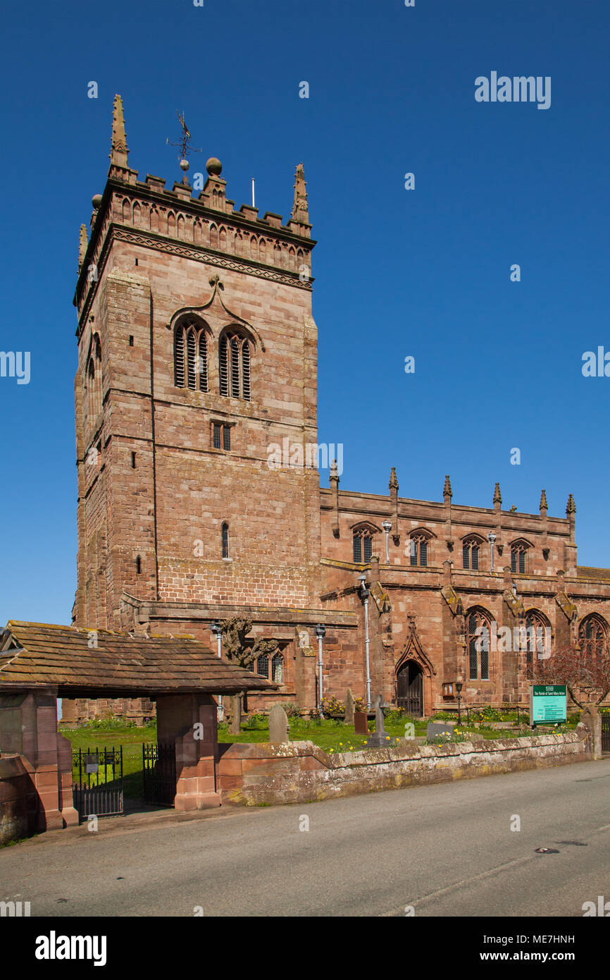 La iglesia de Santa María de Inglaterra iglesia parroquial en Acton Nantwich Cheshire con cielos azules cielo tiene la torre más alta de cualquier iglesia de Cheshire Foto de stock