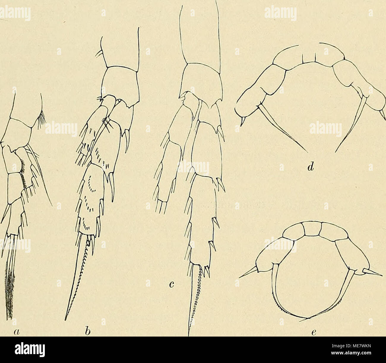 Get Hombre bricht wie sich den fuss Desktop Wallpaper Free