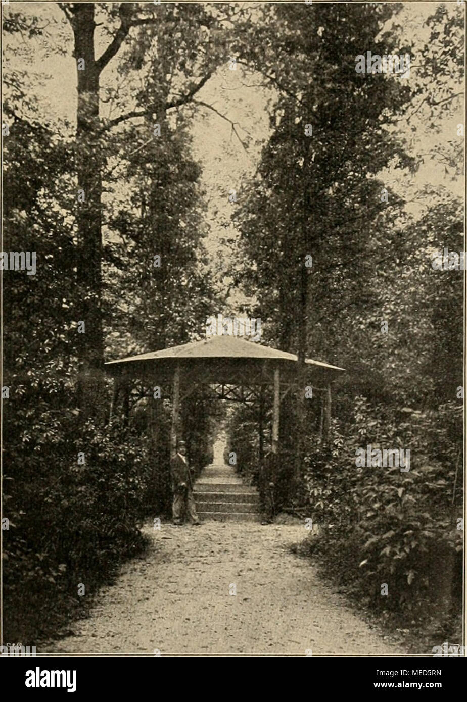 Die Gartenwelt Von Einem Naturpavillon Unterbrochener Waldweg Im Stadtpark Zu Ludwigshafen Rh Vom Verfasser Fur Die