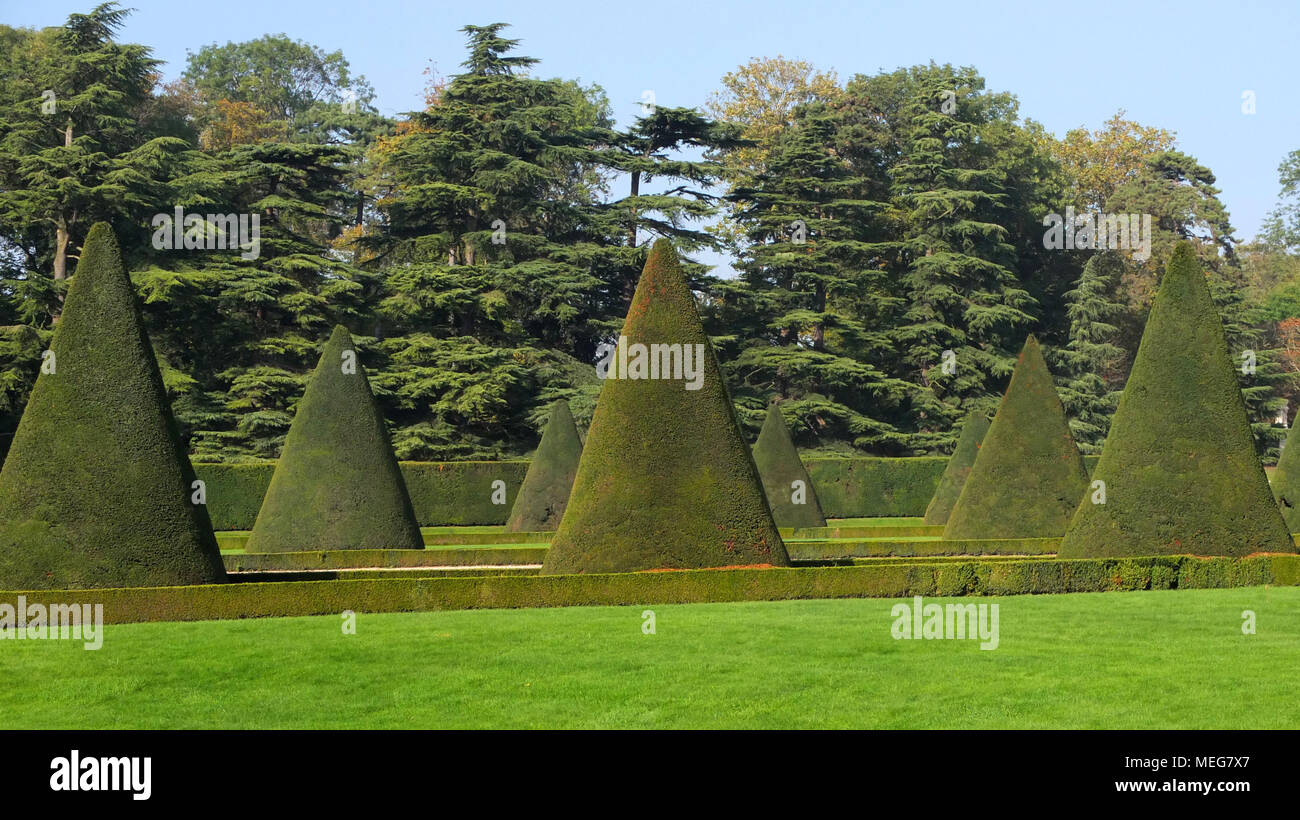 Topiary evergreens forman líneas en Parc de Sceaux, Francia Foto de stock