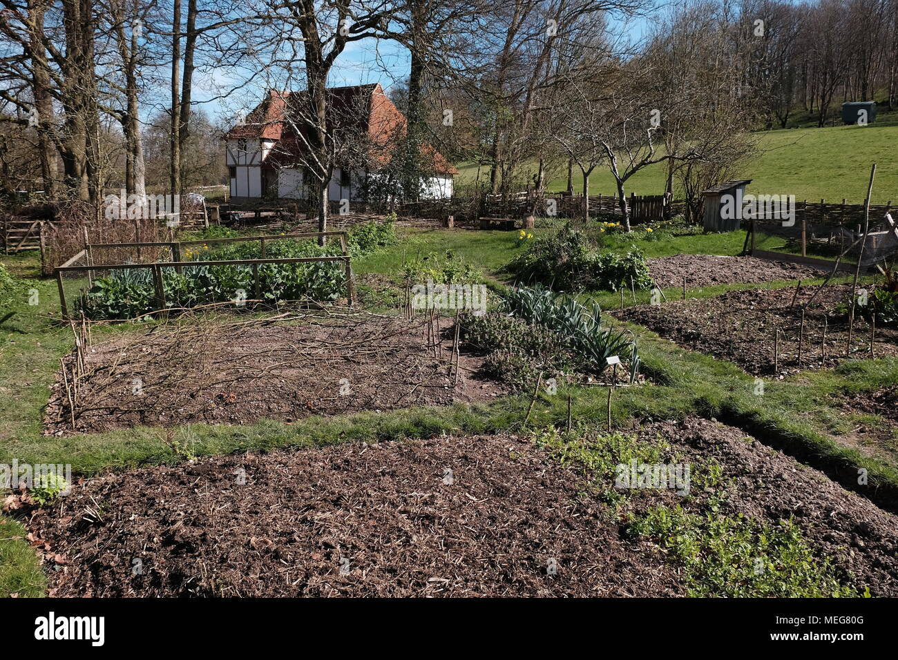 Un Potager fuera una casa medieval en el Museo Weald y cerros cerca de Chichester. Foto de stock