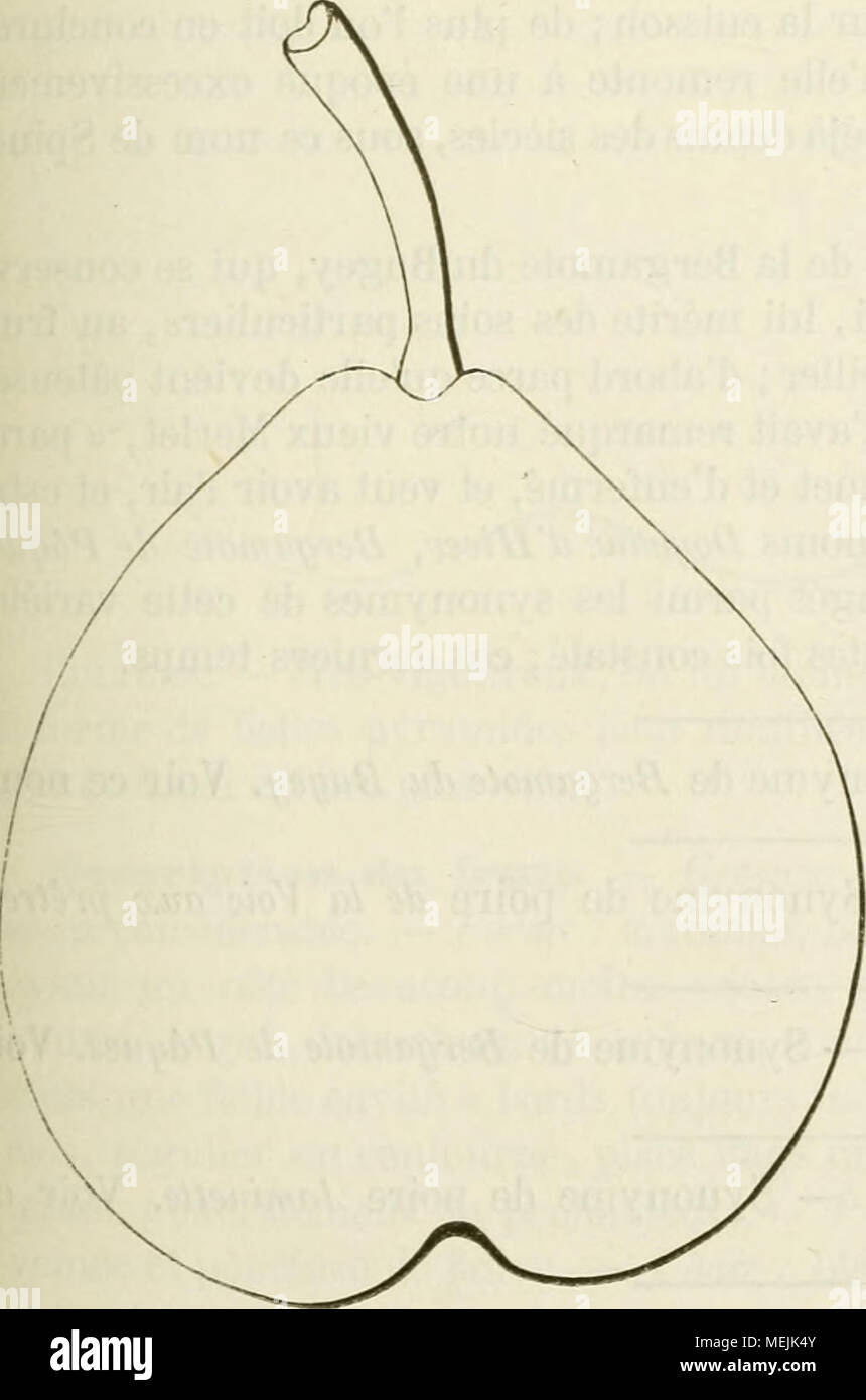 . Dictionnaire de pomologie, contenant l'histoire, la descripción, la figura frutas des anciens et des modernes frutos les plus g©n©ralement connus et cultiv©s . Synonjnies.  poires : Bergamote Bugi (Dom Claude Saiot-Ãtienne ins- truction, Nouvelle pour connaître les bons frutas, 1670, p. 81). Â2. Violette (/rf. e6?'rf. ) Âs.Pera Spina (Merlet, l'Sabre'gé des Bons frutas, édition de 1675, pág. 120). j.  4. Ministre du (Wem, édition de 1690,p. 106). Â5.Nicole {Id., ibíd.).  6. Du Bugi (la Quintinye, Instrucciones pour les Jardins et potagers fruitiers, édition de 1739, pág. 275).  7. Grosse-R Foto de stock