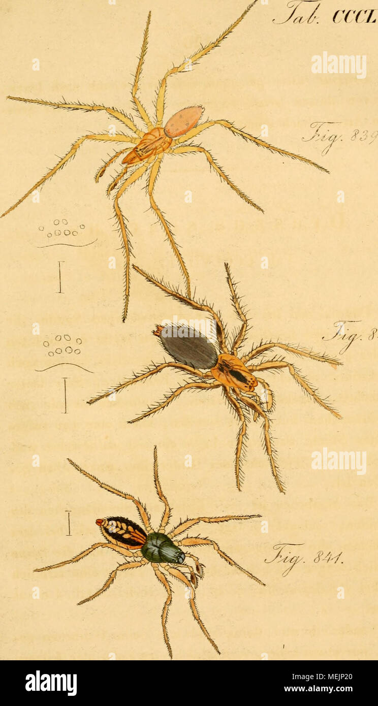 240 Z Fotos E Imagenes De Stock Alamy