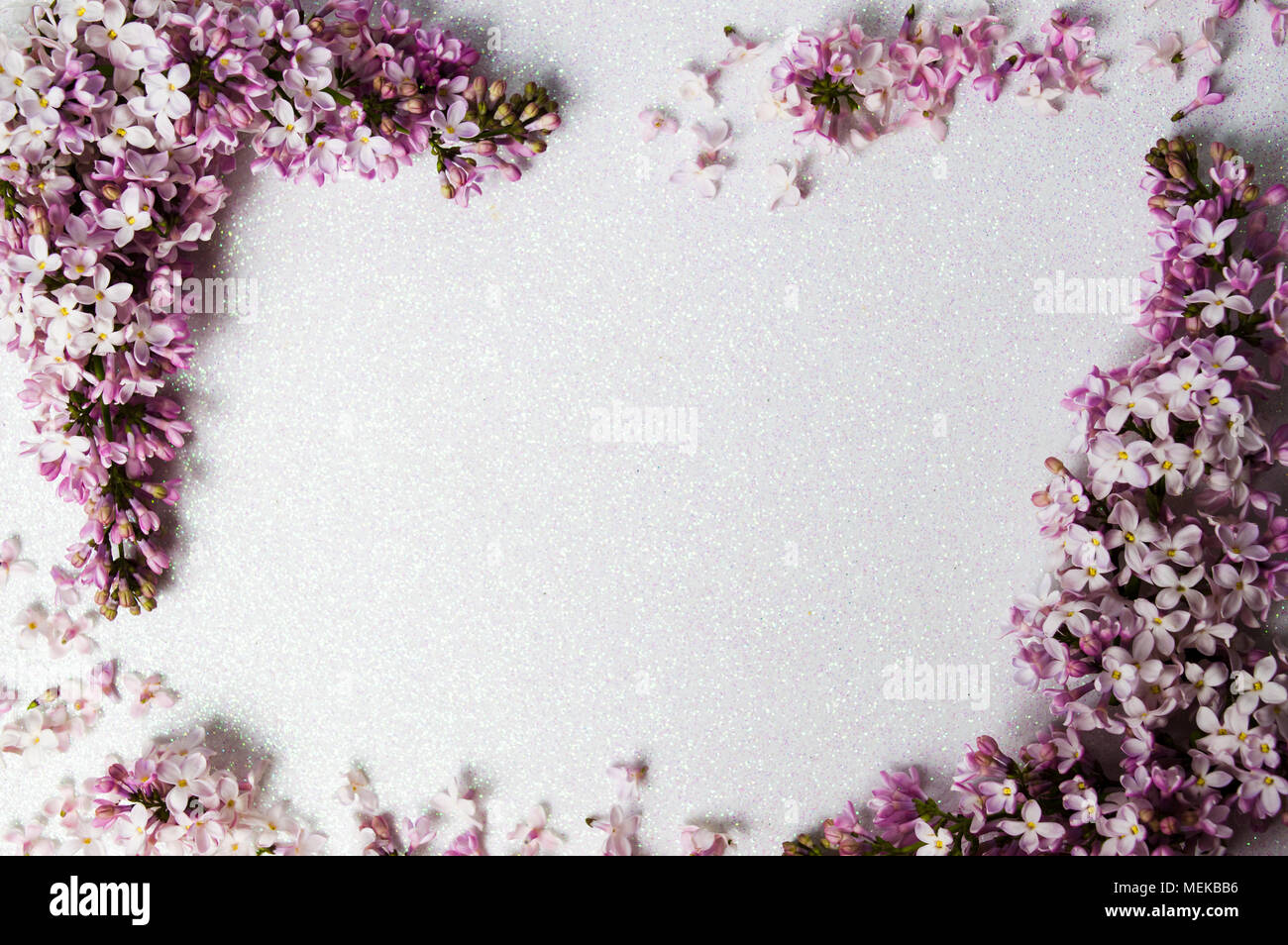 Flores de color lila arreglo con copia espacio, antecedentes de primavera Foto de stock
