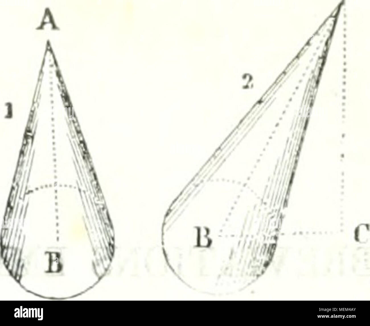 . Dictionnaire des sciences mathématiques puras et appliqués . lyj^queridos réguliei-s d'un nombre infini de Cà'tés. Le cylindre est droit (i) la peipmdiculaire lorsque. lorsque l'ax est incliné (2). La hauteur d'un Cà'ne est la peipcndiculaire abaissée de hijo sommet-sur le plan de sa base. 55. La onu sphère est solide terminé par une seule cara sur- courbe, dont tous les puntos sont éj^alemcnt éloi- abaissée du Centre de l'une de ses Bases sur l'autre, tombe S"*^"' '^'''''''' P P''* Â"l">°^ l'mténeur, et qu'on nomme sur le Centre de cette dernière II est Foto de stock