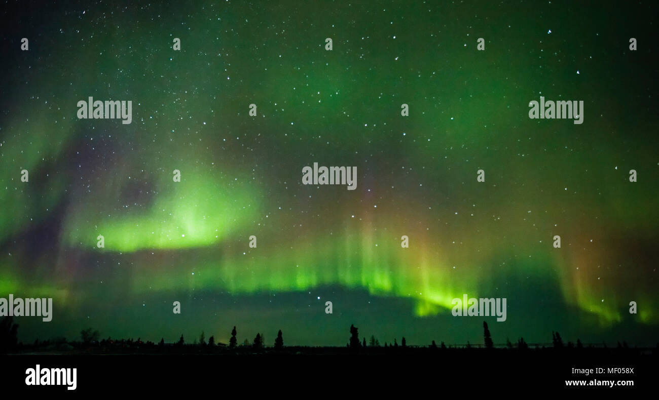 Increíble aurora boreal ilumina el cielo del norte en el Parque Nacional Wapusk, Manitoba, Canadá. Foto de stock