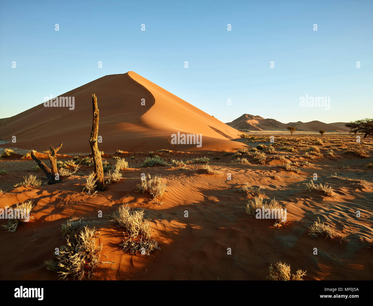 África, Namibia, Parque Nacional Namib-Naukluft, el desierto de Namib, las dunas del desierto Foto de stock