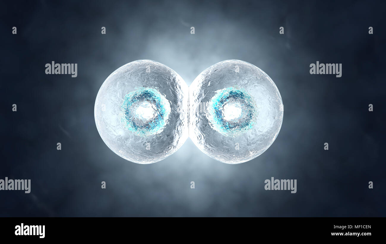 Ilustración 3D prestados de la mitosis y la replicación de una célula biológica genérica. Foto de stock