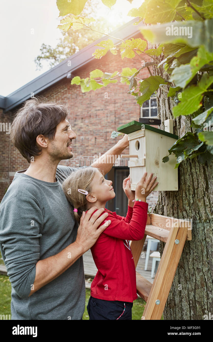Padre e hija, colgar la caja del nido en el jardín Foto de stock