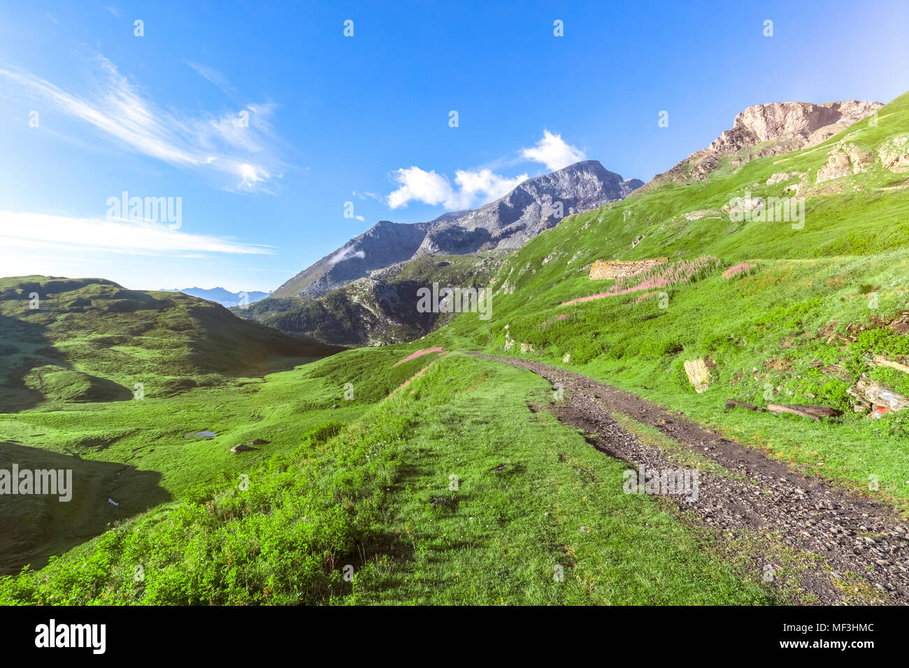 Francia, Savoie, Ródano-Alpes, al oeste de los Alpes, zona fronteriza, antigua carretera militar, camino de ripio Foto de stock