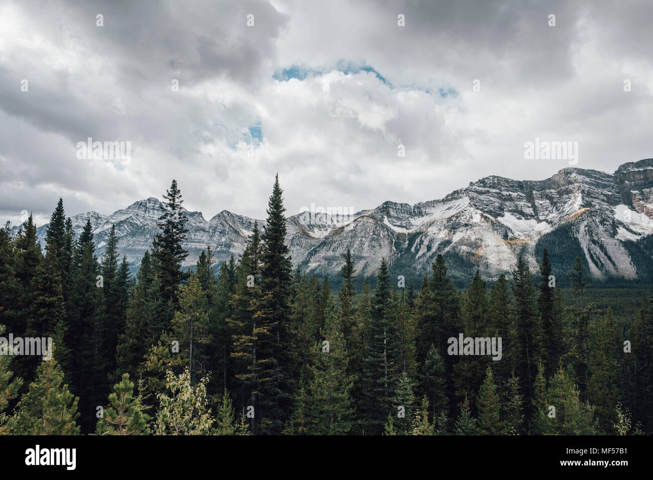Canadá, Alberta, Parque Nacional de Banff, el Valle de los Diez Picos, Montañas Rocosas Foto de stock