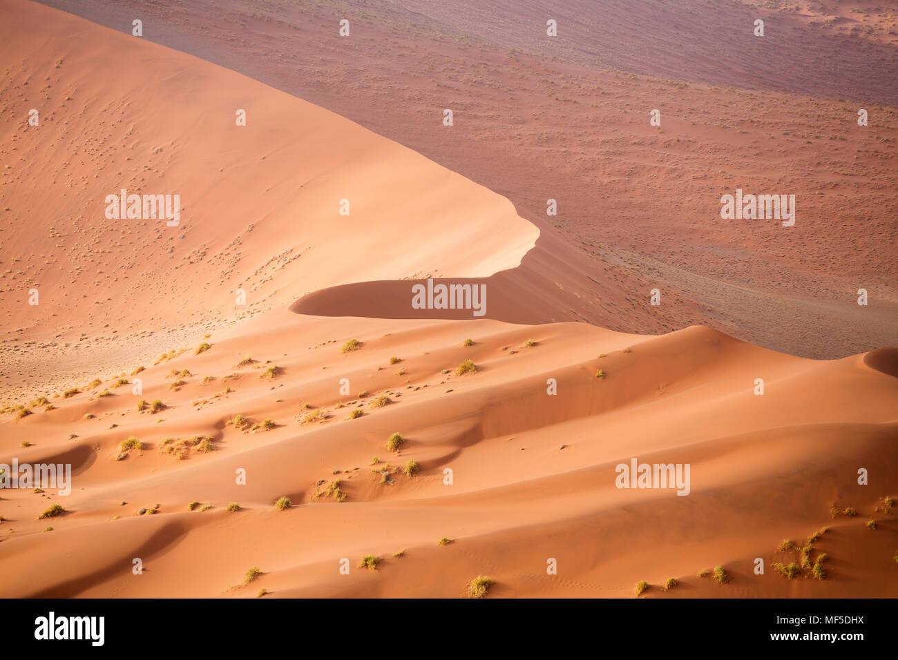 África, Namibia, Parque Nacional Namib-Naukluft, el desierto de Namib, las dunas del desierto Foto de stock