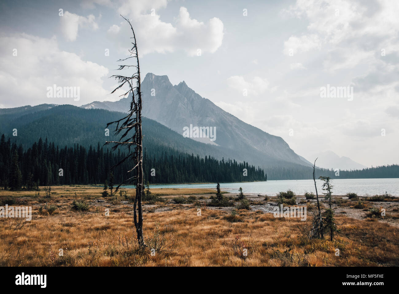 Canadá, Columbia Británica, un Columbia-Shuswap, Montañas Rocosas, Walcott pico, el Parque Nacional Yoho Foto de stock