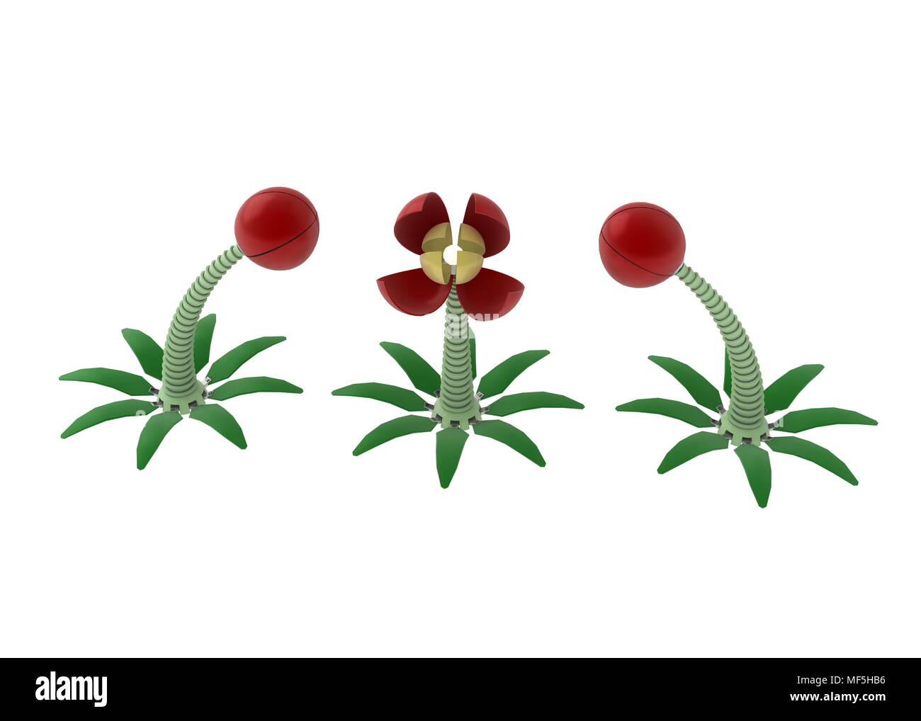 Flores 3d fotografías e imágenes de alta resolución - Alamy Flores 3d fotografías e imágenes de alta resolución - Alamy