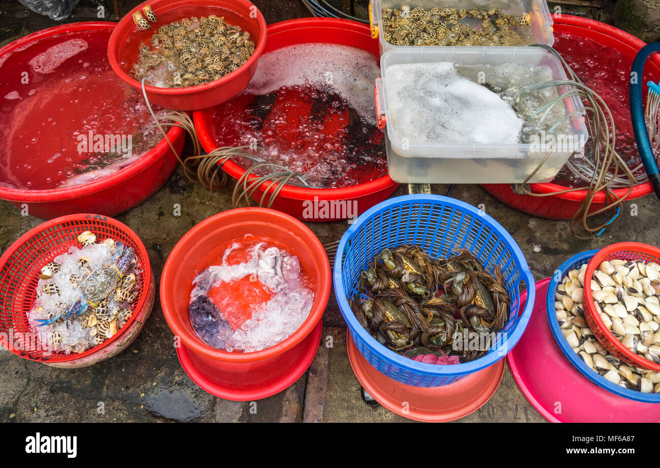 Baldes de caracoles marinos, calamares y cangrejos en un puesto en el mercado de mariscos en el Ton que Dam Street mercados, Ho Chi Minh, Vietnam. Foto de stock