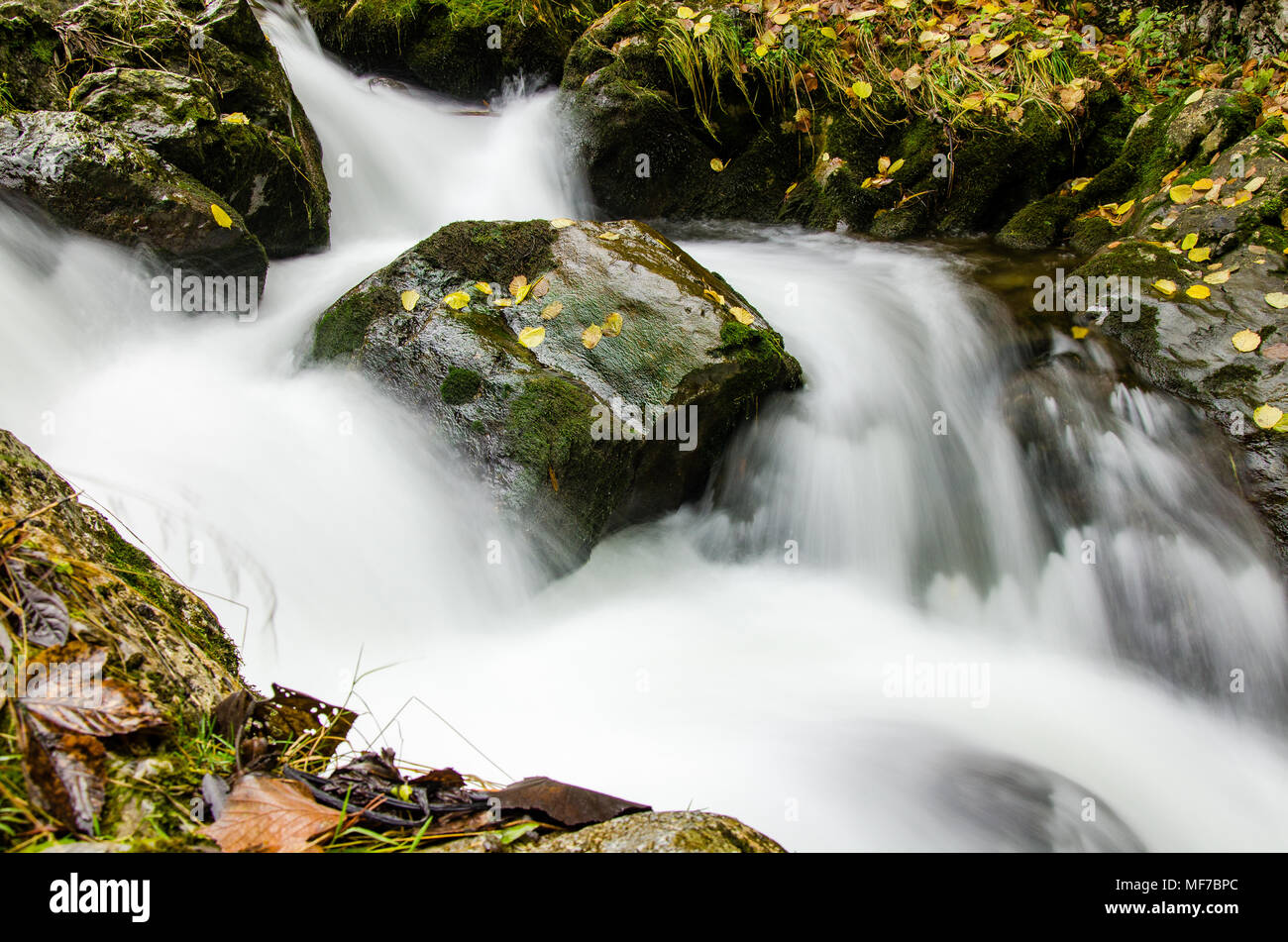 Cerca de una pequeña cascada en el otoño, lisa superficie de agua causada por la larga exposición, el agua fluye alrededor de Big Rock Foto de stock