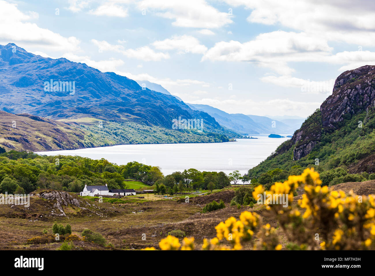 Reino Unido, Escocia, Highland, Loch Maree, lago de agua dulce, granja Foto de stock
