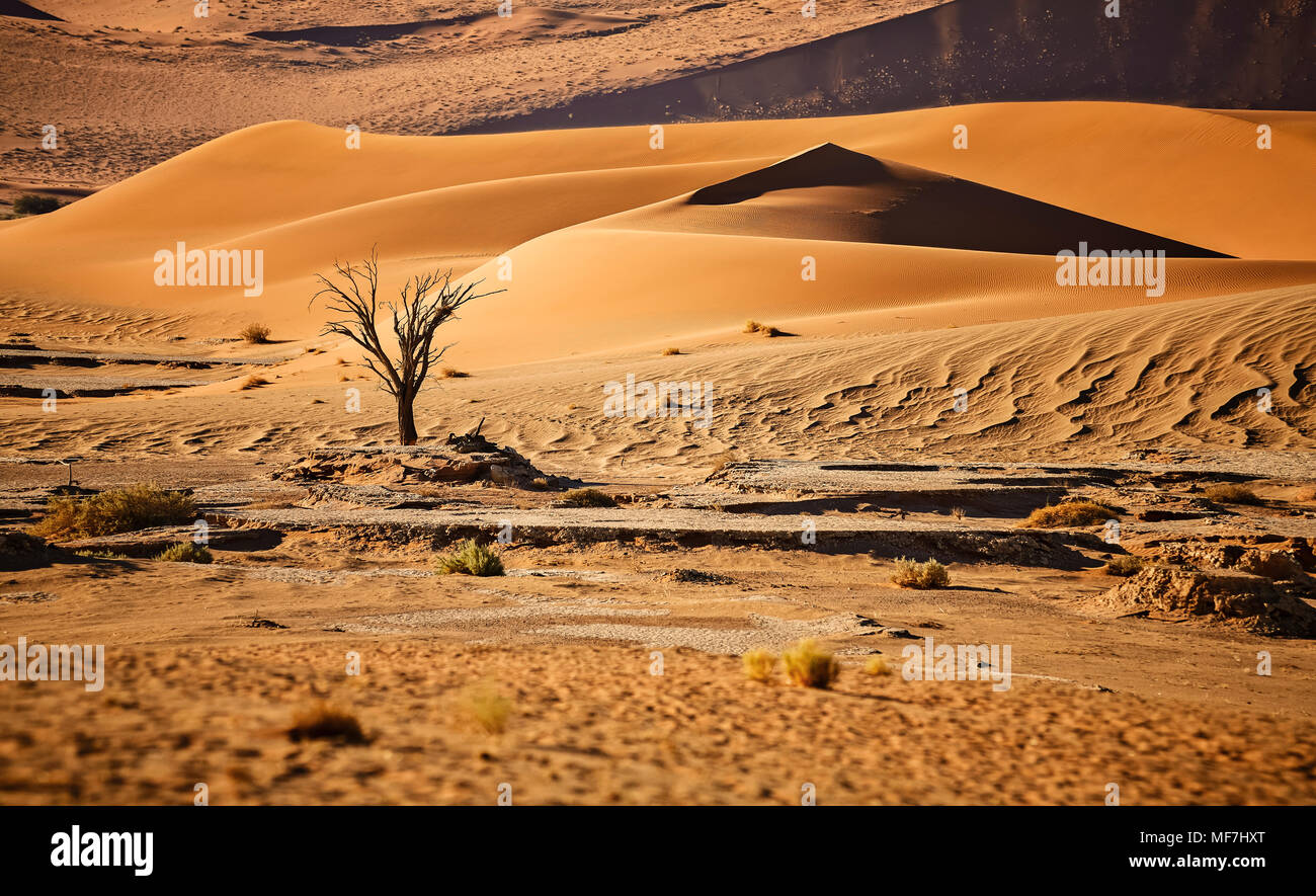 África, Namibia, Parque Nacional Namib-Naukluft, el desierto de Namib, Foto de stock